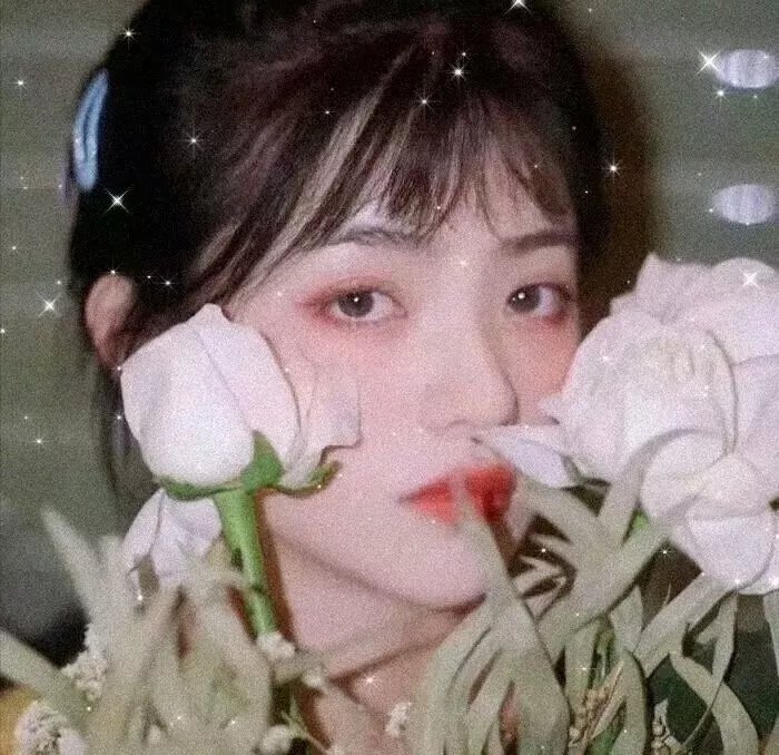 至爱的亲爱的